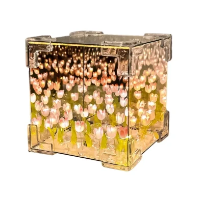 آینه دشت لاله بی‌نهایت مکعب سه‌بعدی